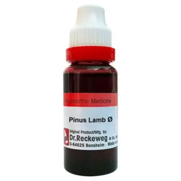 Dr. Reckeweg Pinus Lamb Mother Tincture Q